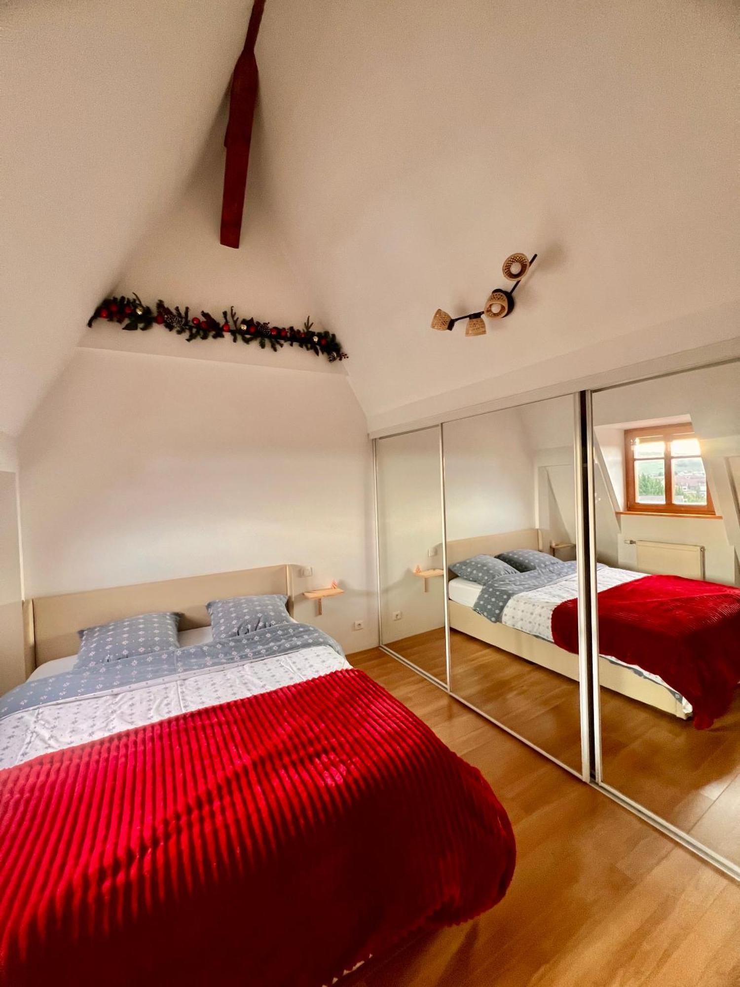 Duplex Au Coeur De Turckheim, 10 Min De Colmar Et Place De Parking Exteriér fotografie